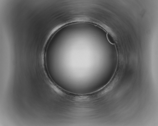 X0000111390846200907101145