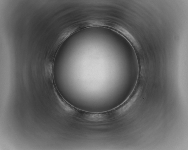 X0000111390849200907101145