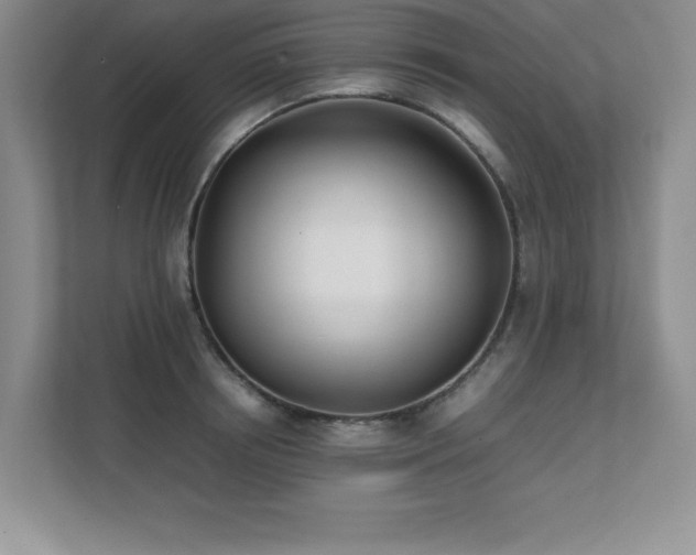 X0000111390850200907101145