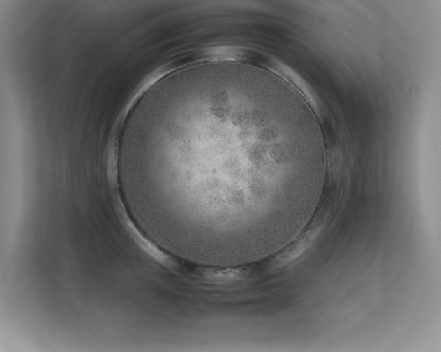 X0000111390851200907101145