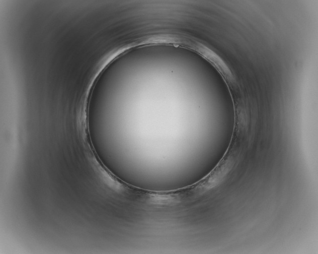 X0000111390852200907101145