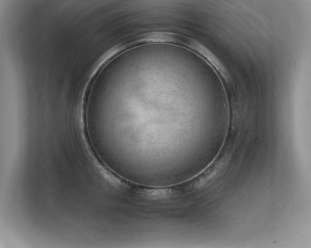 X0000111390853200907101145