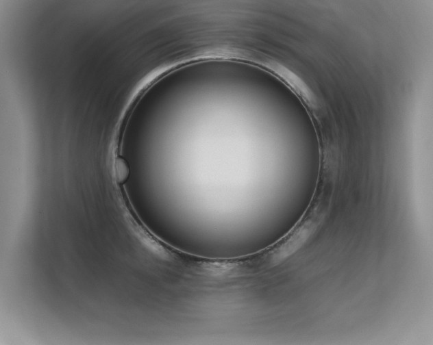 X0000111390854200907101145