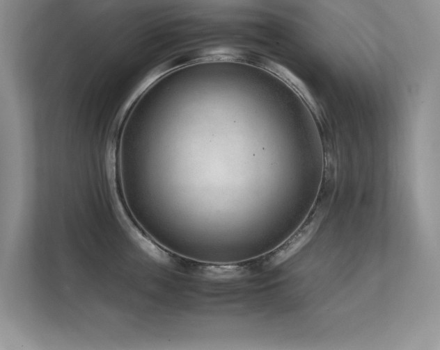 X0000111390859200907101145