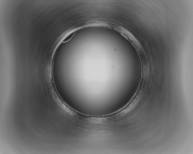 X0000111390860200907101145