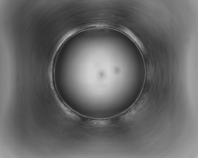 X0000111390861200907101145