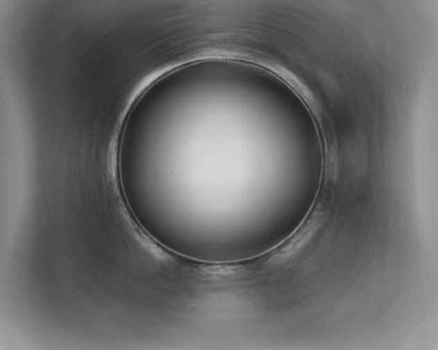 X0000111390862200907101145