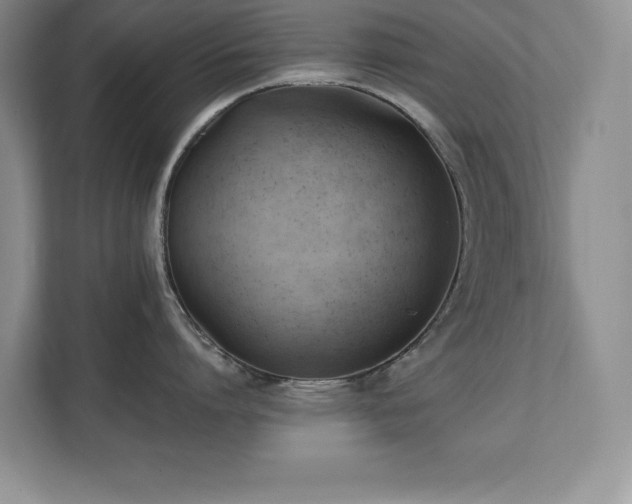 X0000111390864200907101145