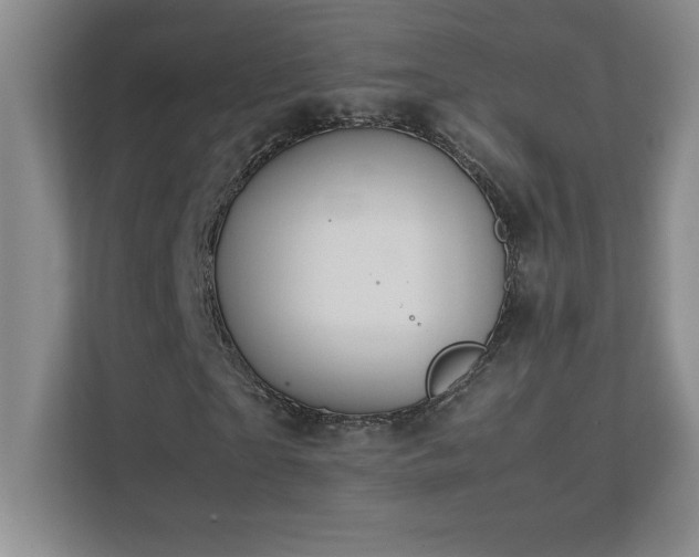 X0000111390865200907101145