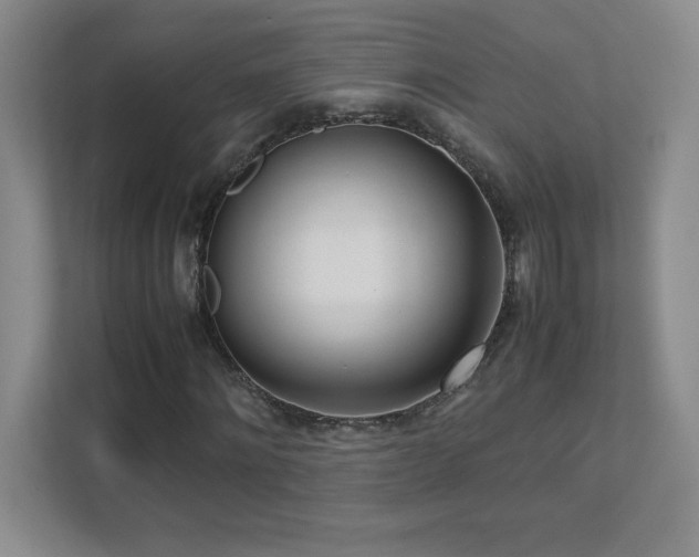 X0000111390868200907101144