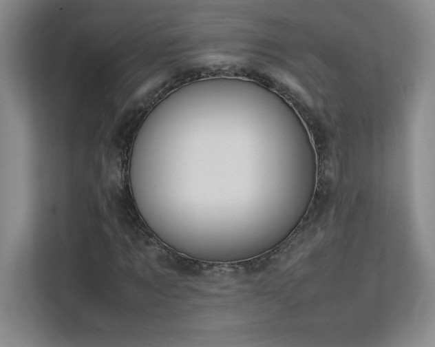 X0000111390869200907101144