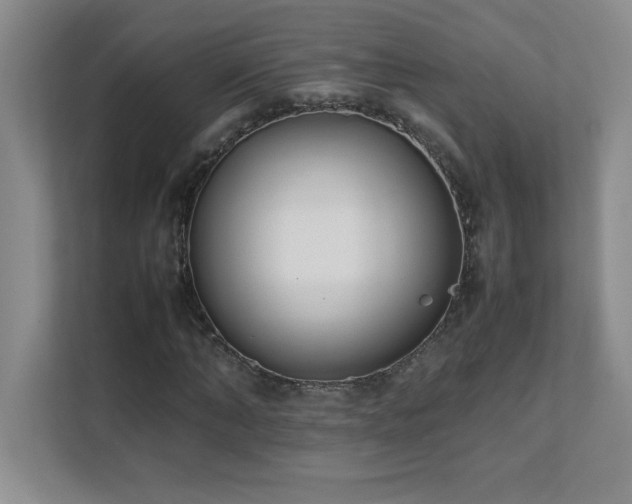 X0000111390870200907101144