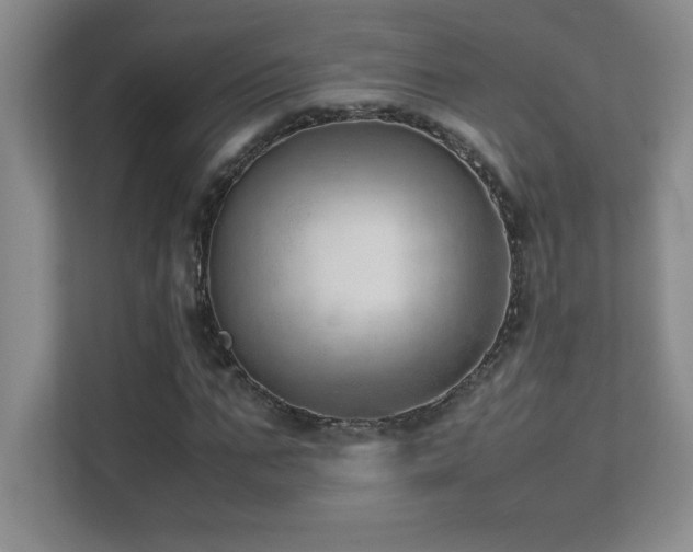 X0000111390871200907101144