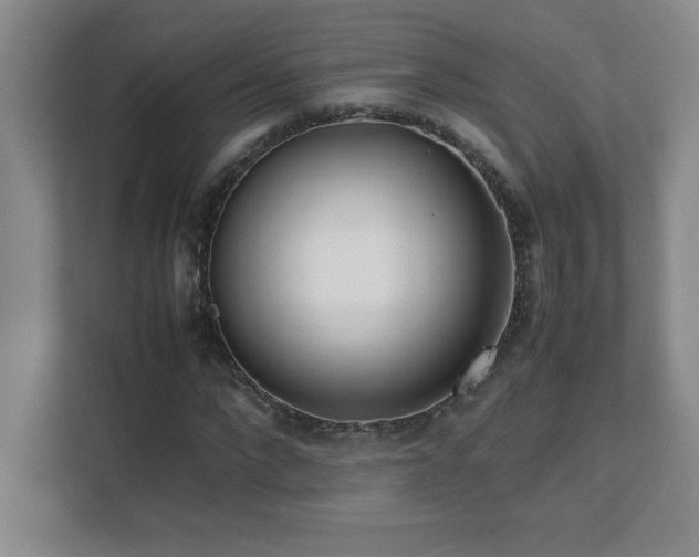 X0000111390872200907101144