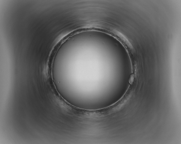 X0000111390876200907101144