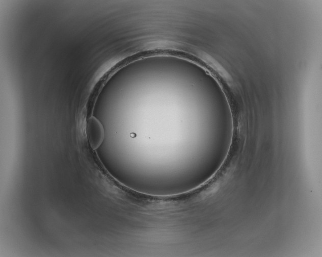 X0000111390877200907101144