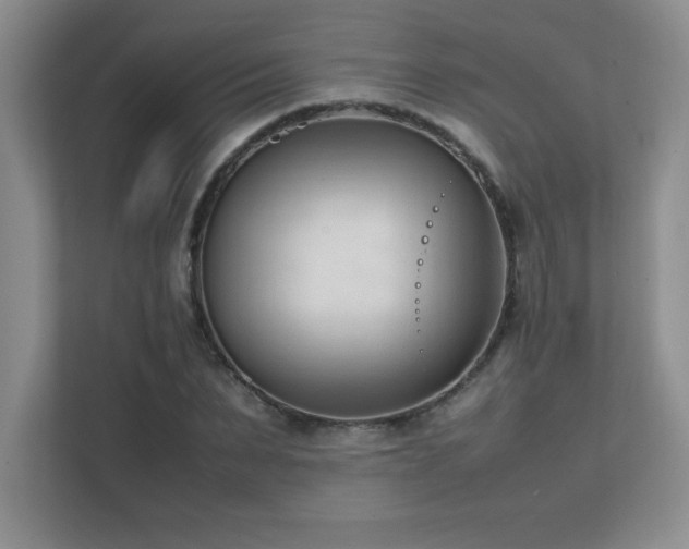 X0000111390879200907101144