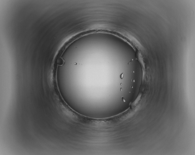 X0000111390880200907101144