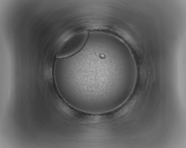 X0000111390881200907101144