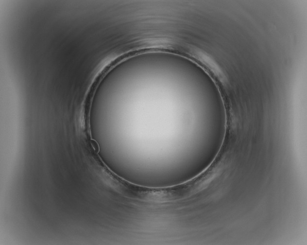 X0000111390883200907101144