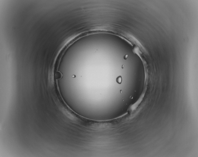 X0000111390884200907101144