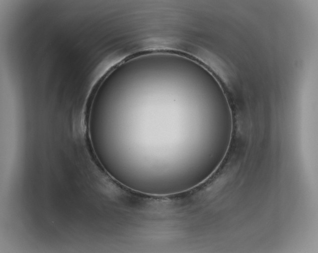 X0000111390885200907101144