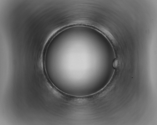 X0000111390888200907101144