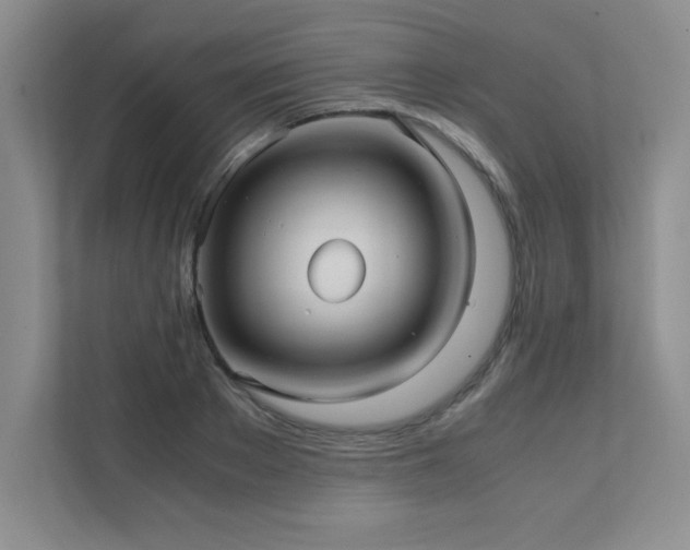 X0000111390889200907101144