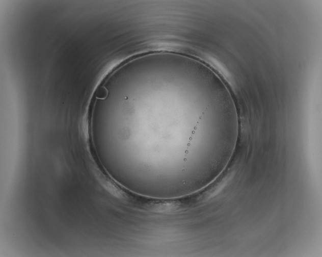 X0000111390891200907101144