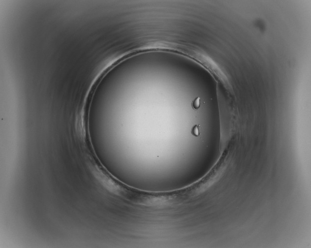 X0000111390892200907101144