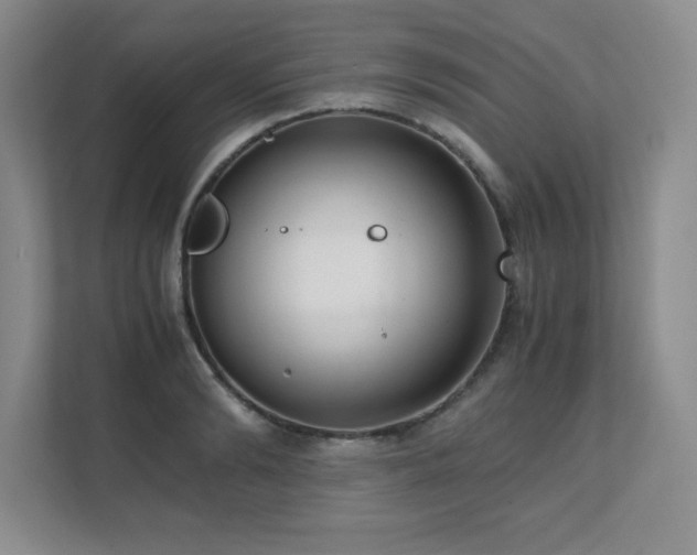 X0000111390894200907101144