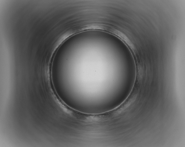 X0000111390898200907101144