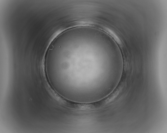 X0000111390899200907101144