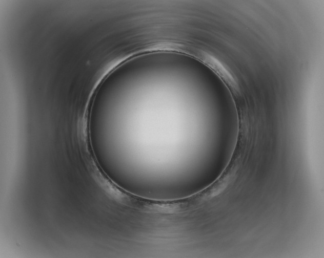 X0000111390900200907101144