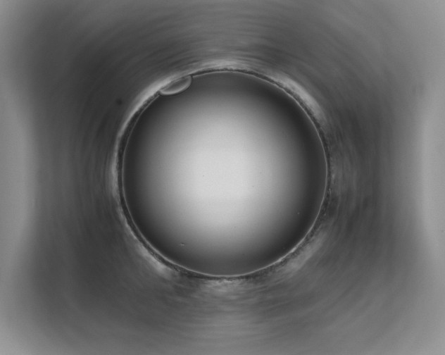 X0000111390902200907101144