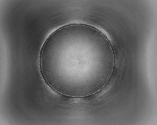 X0000111390903200907101144