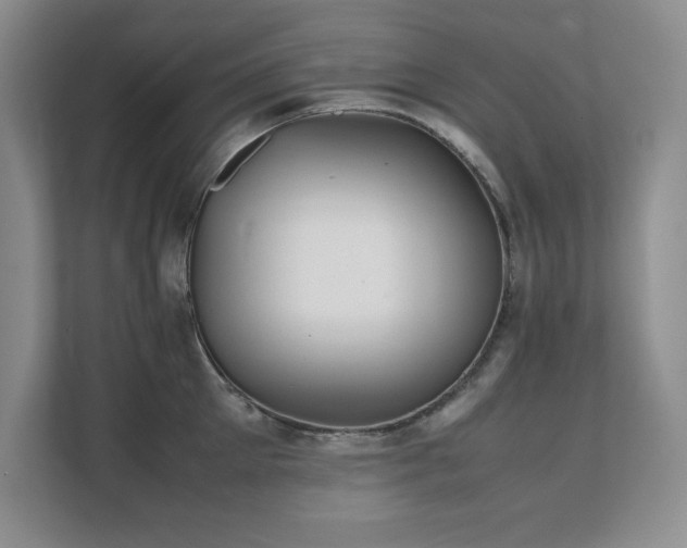 X0000111390905200907101144