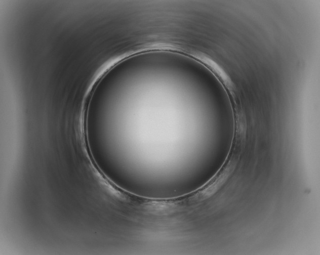 X0000111390910200907101144