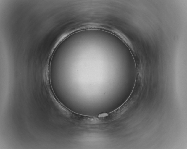 X0000111390911200907101144