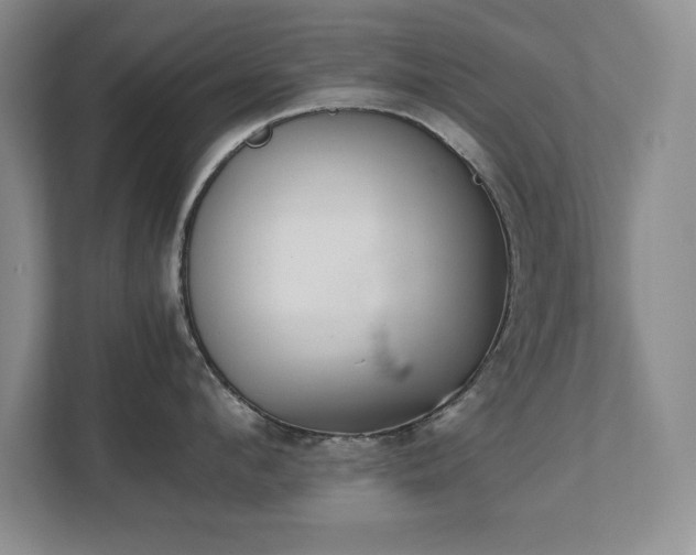 X0000111390912200907101144