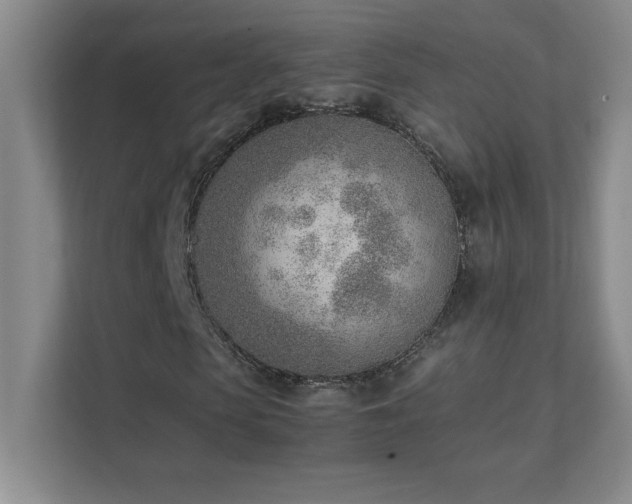 X0000111390913200907101143