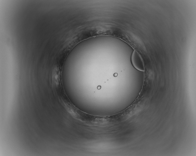 X0000111390914200907101143