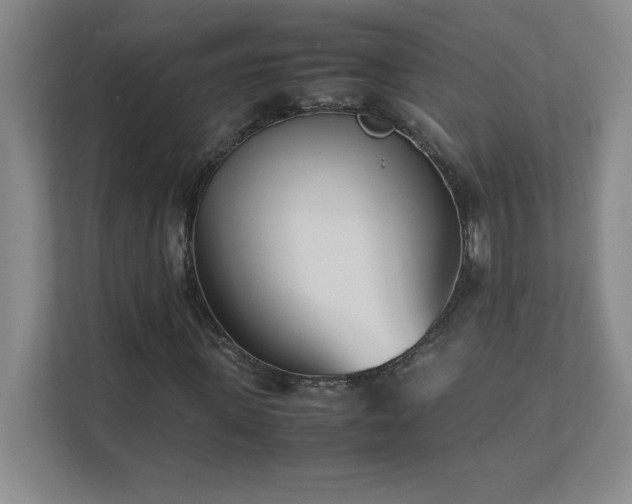 X0000111390915200907101143