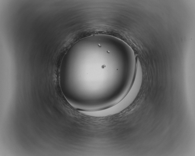 X0000111390916200907101143