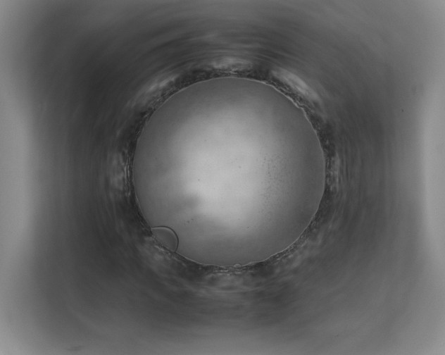 X0000111390917200907101143