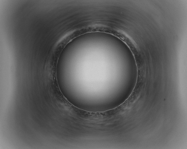 X0000111390919200907101143