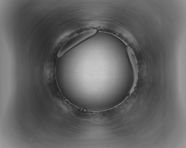 X0000111390920200907101143