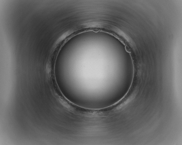 X0000111390922200907101143