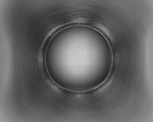 X0000111390923200907101143