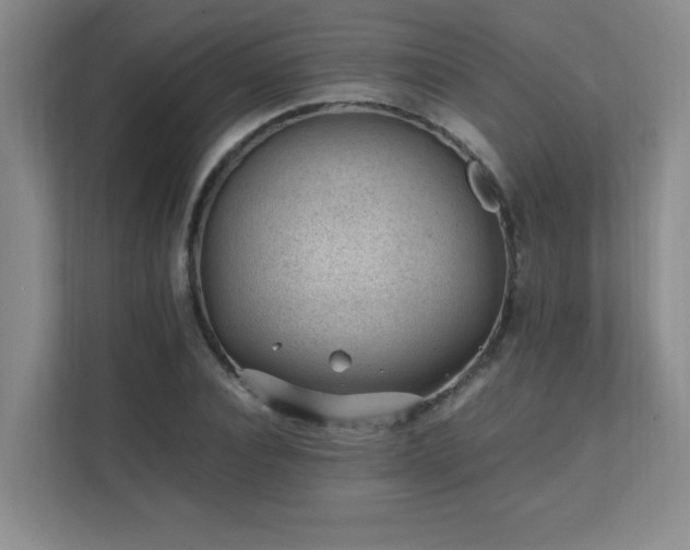 X0000111390928200907101143